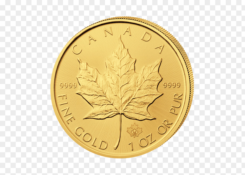Gold Leaf Bullion Coin Canadian Maple PNG