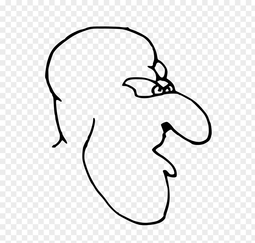 Pig Nose Drawing Clip Art PNG
