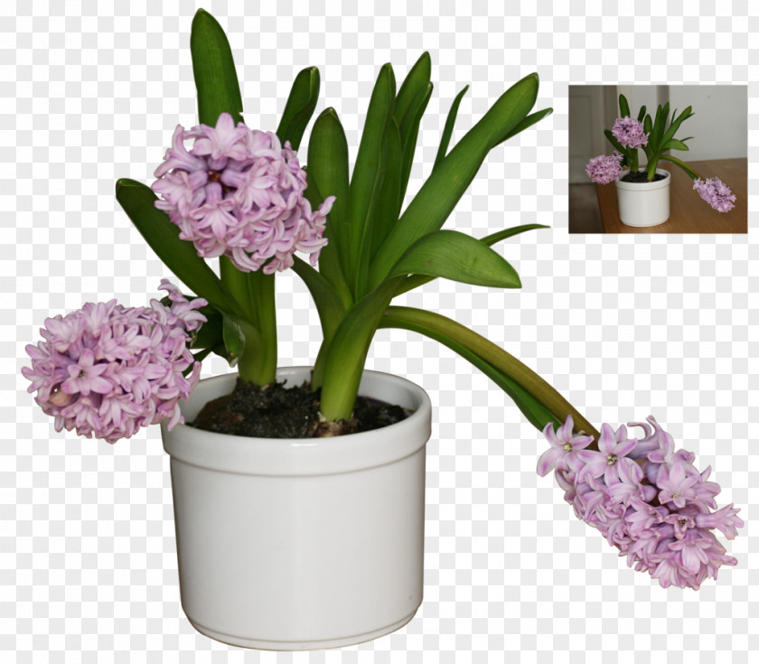Pot Plant Flowerpot DeviantArt Floral Design PNG