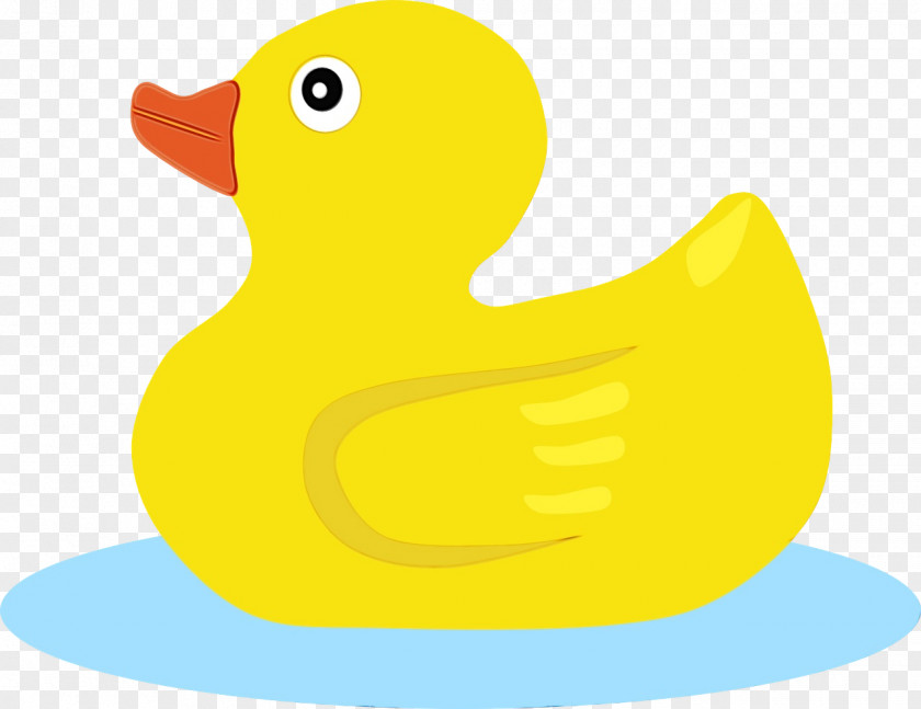 Rubber Ducky Duck Yellow Bird Bath Toy PNG