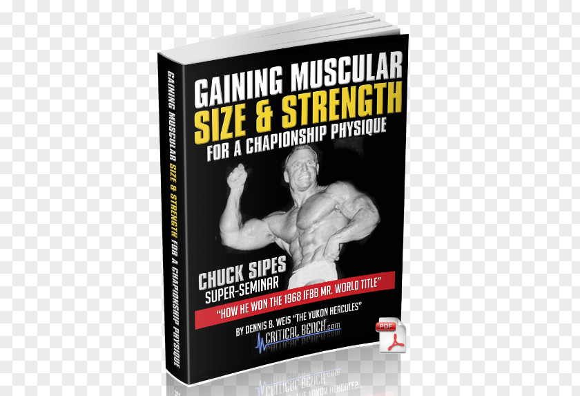 Super Strong Arm Muscles Achieving Total Muscularity Muscle Poster Product Seminar PNG