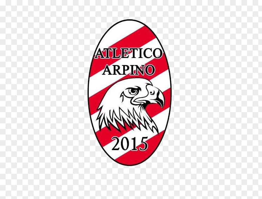 Arpino Seconda Categoria Associazione Sportiva Dilettantistica Ceccano Player PNG