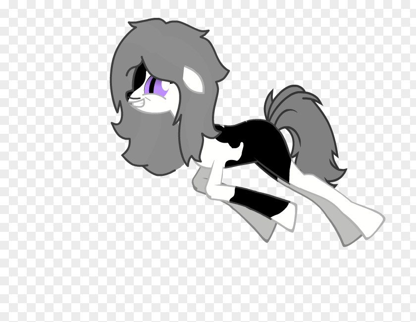 Cat Horse Pony Mammal PNG