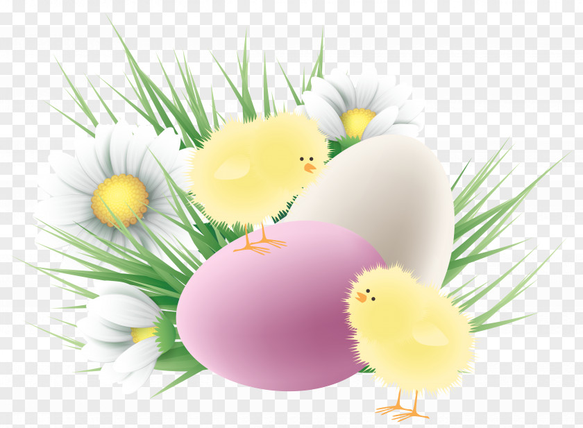 Ester Easter Bunny Chicken Egg Clip Art PNG