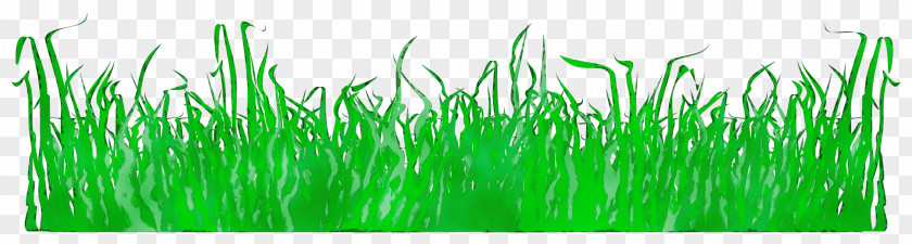 Green Grass Family Plant PNG