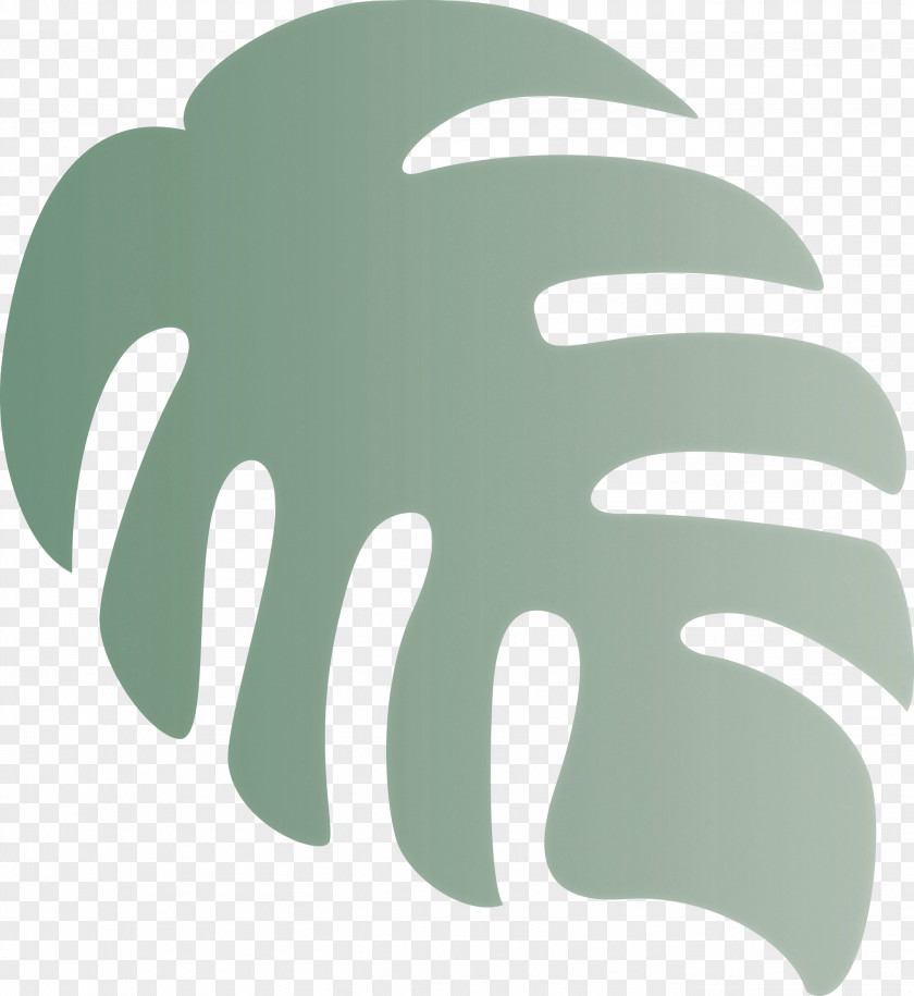 Monstera Tropical Leaf PNG