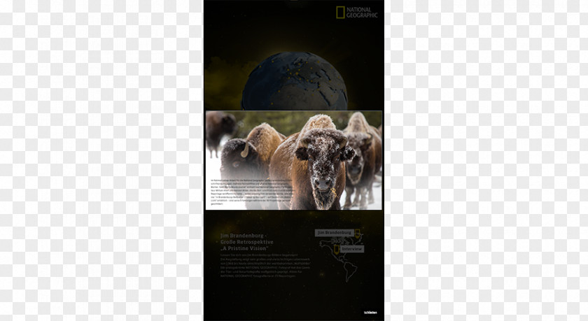 National Geographic Dog Breed Smartphone Video Snout PNG