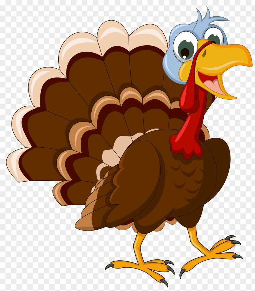 Thanksgiving Walking Turkey PNG Turkey, brown tom turkey illustration clipart PNG