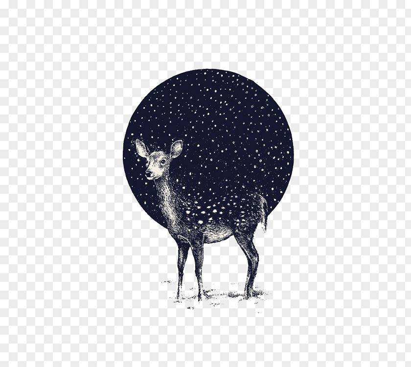 Deer Drawing Art Illustrator Illustration PNG