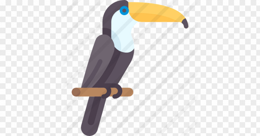 Design Beak Toucan PNG