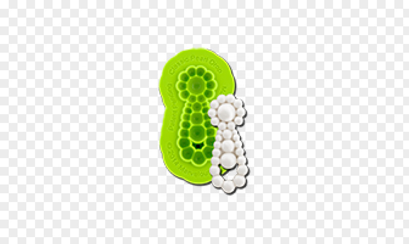 Design Mold Green Shoe PNG