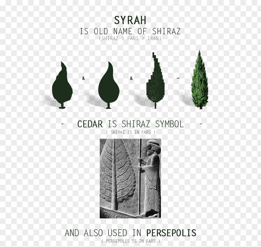 Florame Persepolis Relief Huile Essentielle Cypres Bio Product Design PNG