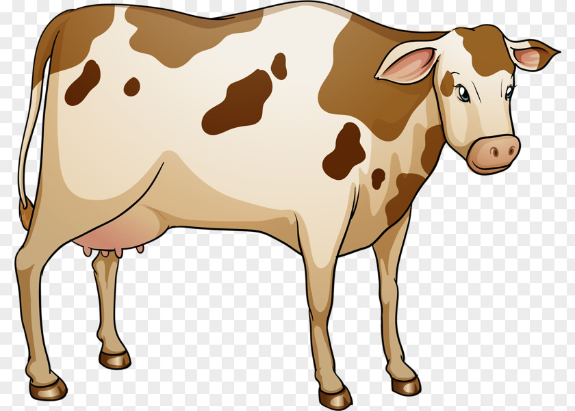 Hand-painted Cow Lakenvelder Cattle Royalty-free Illustration PNG