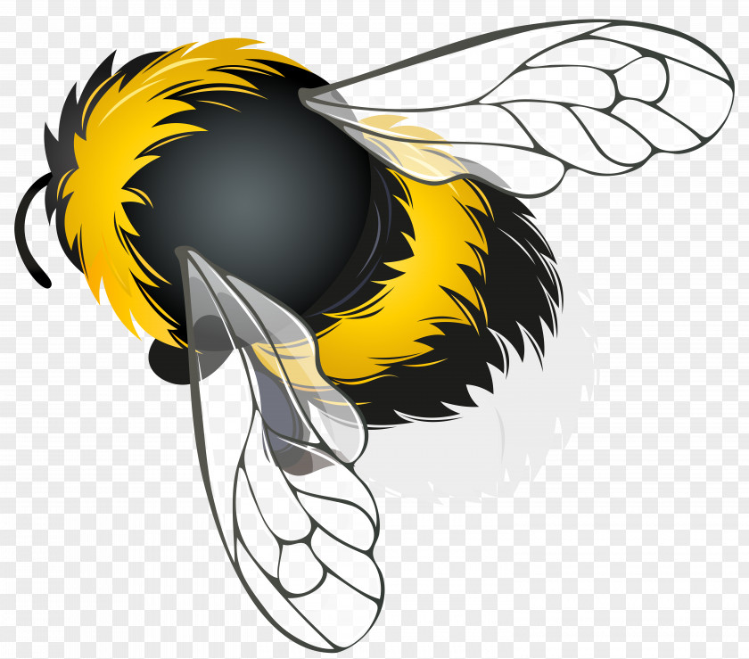 Insect Honey Bee Clip Art PNG