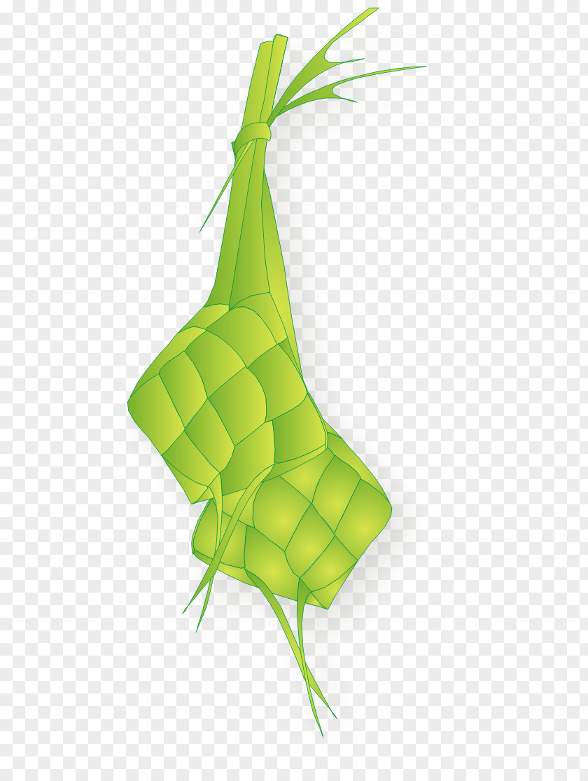 Ketupat Clip Art PNG