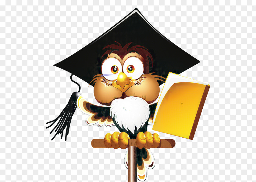 Owl Drawing Stock Illustration Cartoon PNG