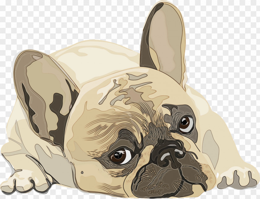 Pug Puppy Companion Dog Toy Snout PNG