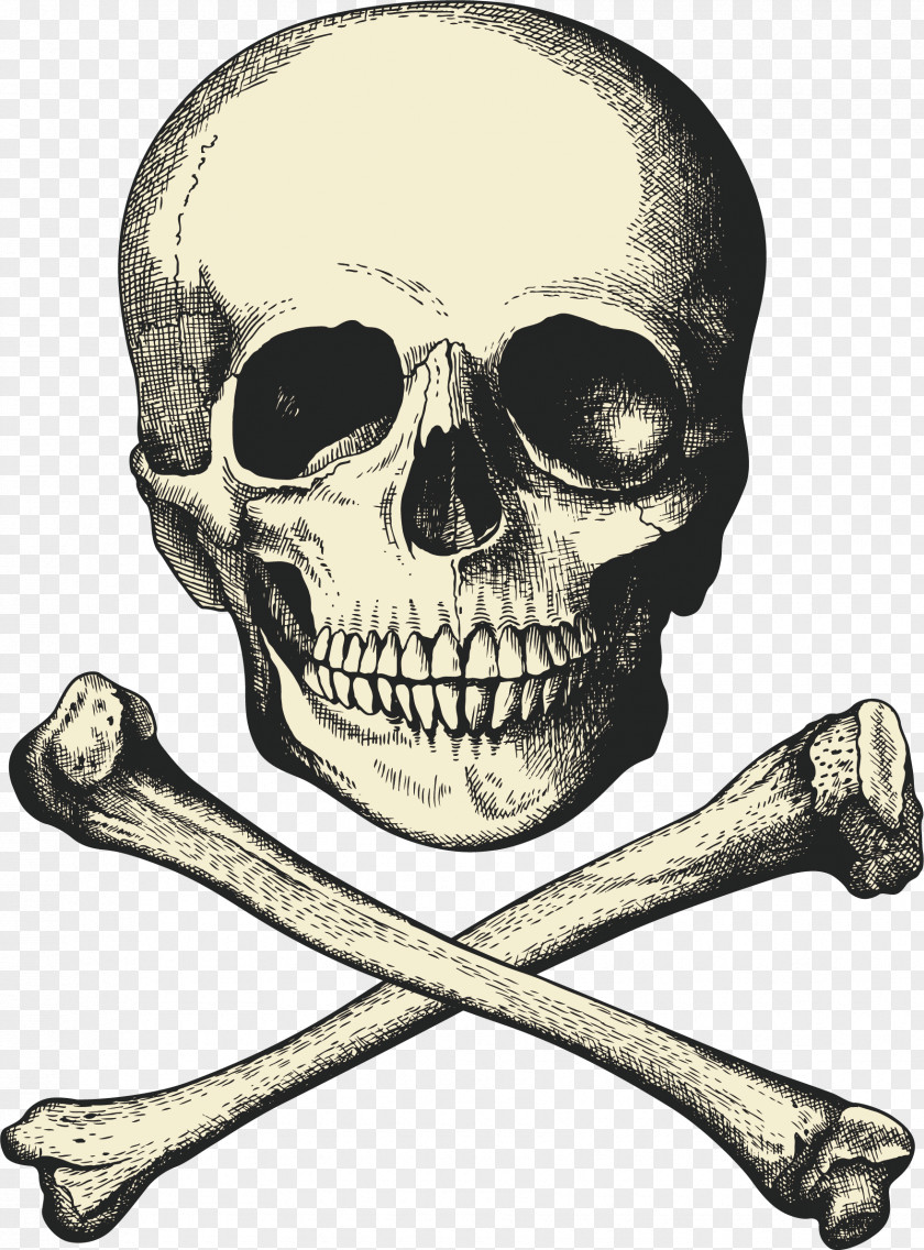Skeleton Vector Captain Hook Piracy Buried Treasure Ship PNG
