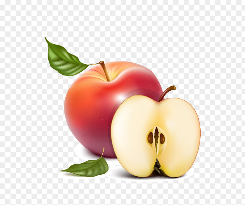 Apple Fruit Peach Apricot PNG