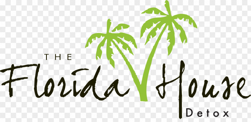 Drug Addict Florida House Experience Rehabilitation Palm Beach County Of Representatives Alcoholism PNG