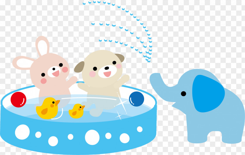 Elephant Summer Swimming Pool Photography PNG