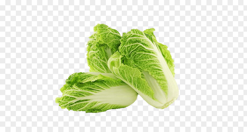 Iceburg Lettuce Celtuce Vegetable Leaf Romaine Food PNG