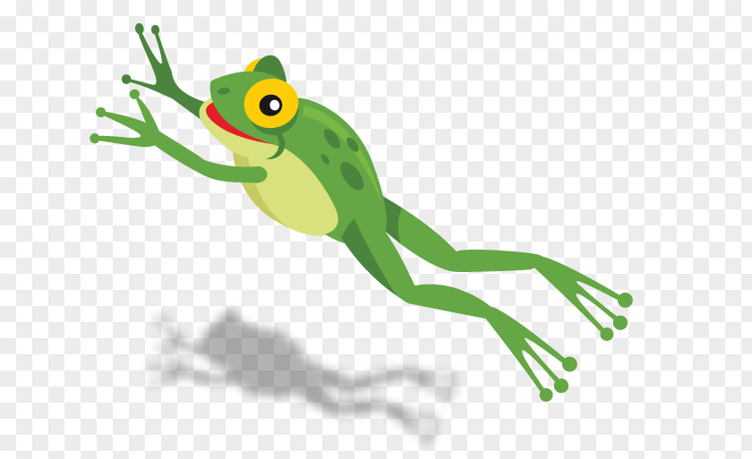 Leap True Frog Amphibian Tree Vertebrate PNG