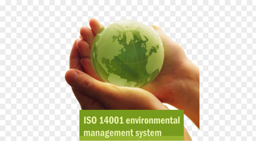Natural Environment Corporate Social Responsibility INGRAIN STANDARD ASSESSMENT LLP Organization PNG