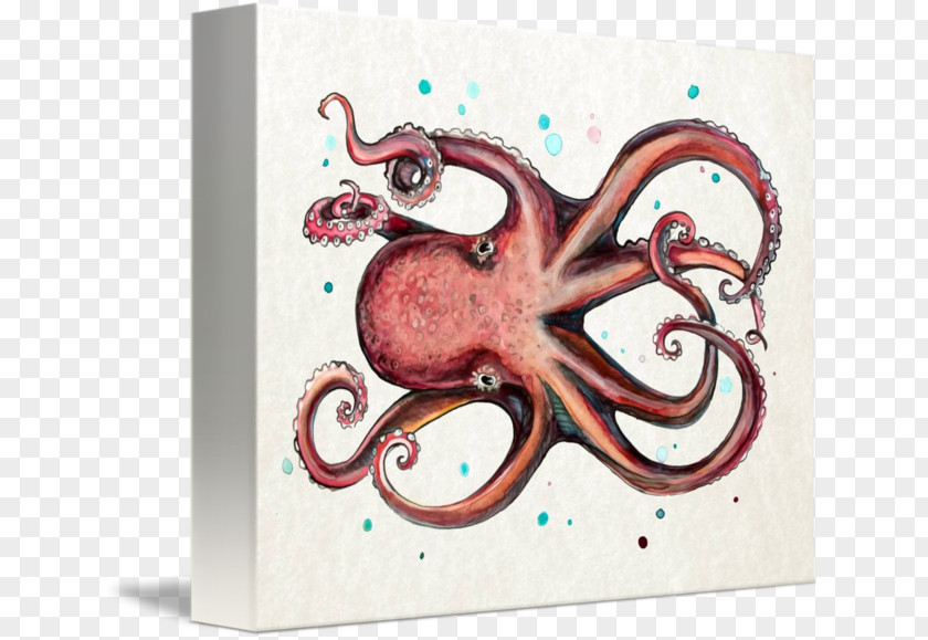 Sea Octopus Art Ocean PNG