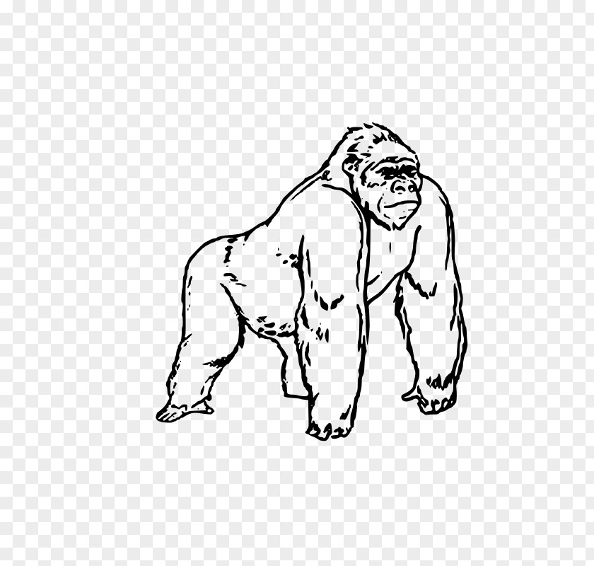 Black Gorilla Coloring Book Child & Learning Drawing PNG