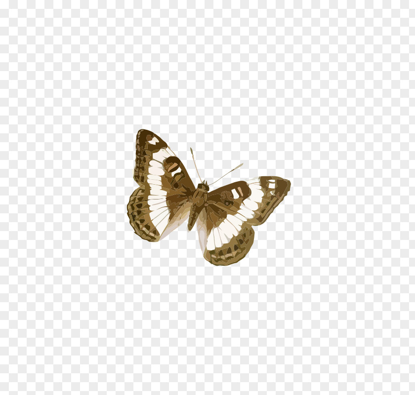 Butterfly Brush-footed Butterflies Moth Drawing Brown PNG