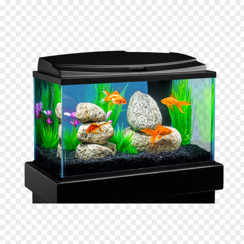 Fish Tanks Direct Aquariums Goldfish Aqua Culture 10-Gallon Aquarium Starter Kit PNG