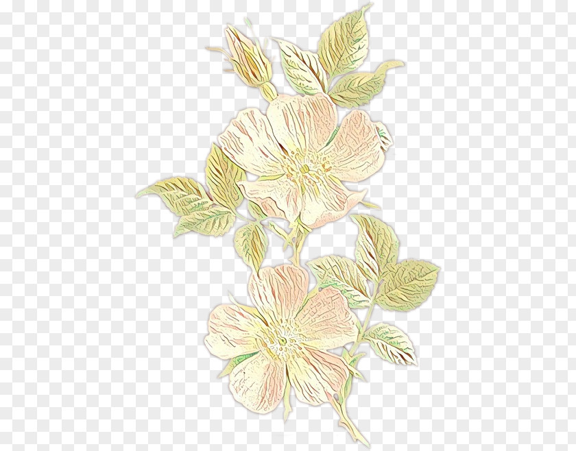 Floral Design Cut Flowers Flowering Plant Plants PNG