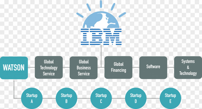 Ibm Organization IBM Brand Smarter Planet PNG