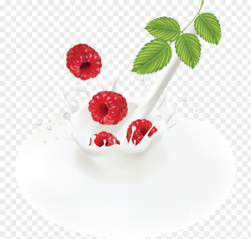Raspberry And Milk Cranberry Juice Frutti Di Bosco Blueberry PNG