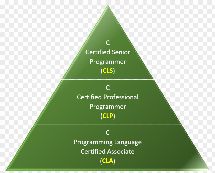 Senior Secondary Certificate Of Education The C Programming Language Certification PNG