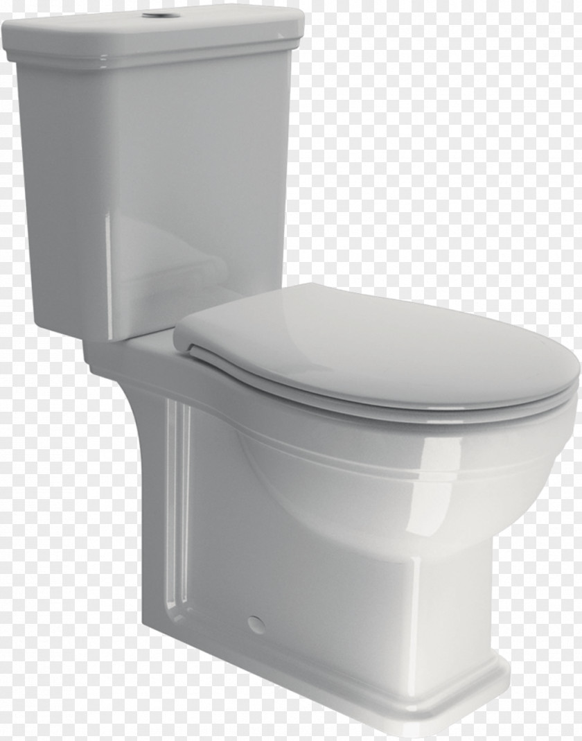 Toilet Flush Ceramic Squat Price PNG