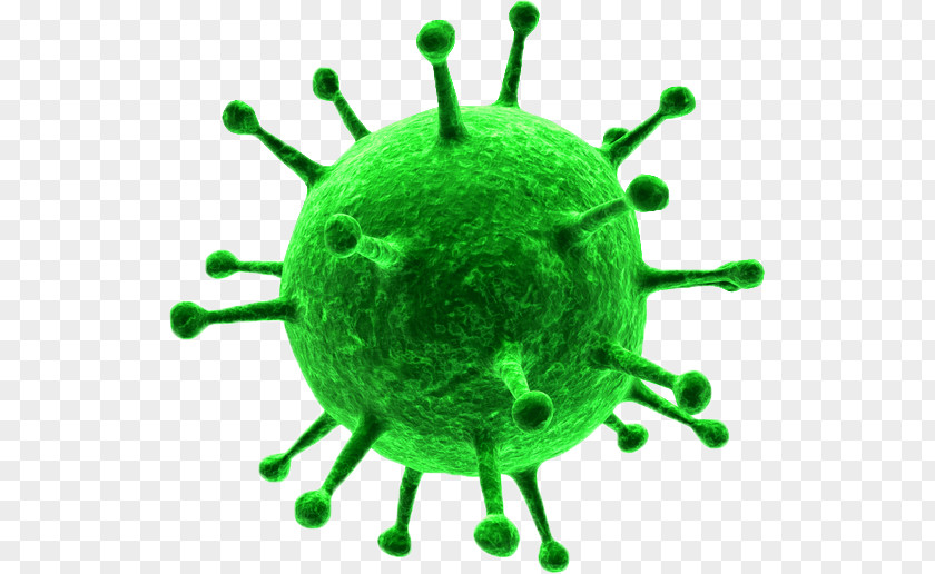 Virus Amplifying Mycoplasma Herpes Simplex Vaccine Clip Art PNG