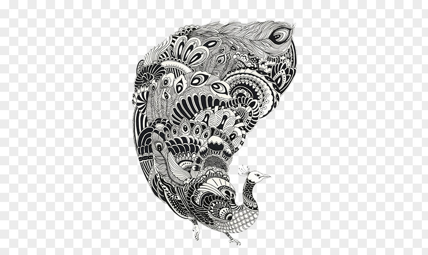 Black And White Decorative Painting Peacock Drawing Line Art PNG