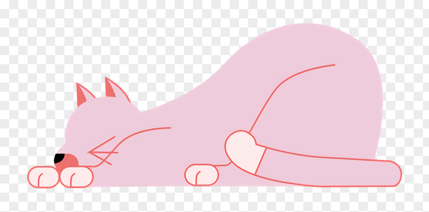 Cat Snout Whiskers Tail Cartoon PNG