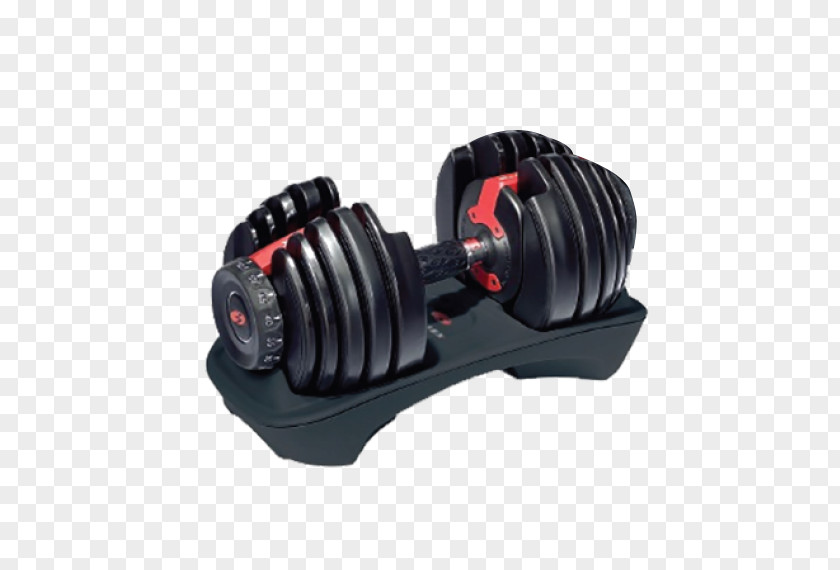 Dumbbell Exercise Bowflex Weight Training Fitness Centre PNG
