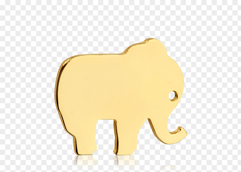 Gold Elephant Indian African Lion Curtiss C-46 Commando PNG