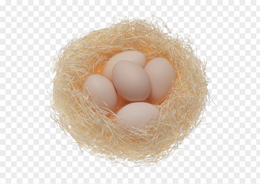 Nest Egg Fried Chicken Scrambled Eggs PNG