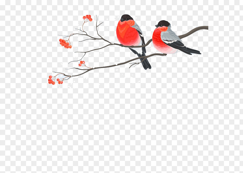 Painting Birds PNG