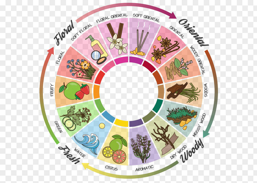 Perfume Aroma Compound Fragrance Oil Wheel Note PNG