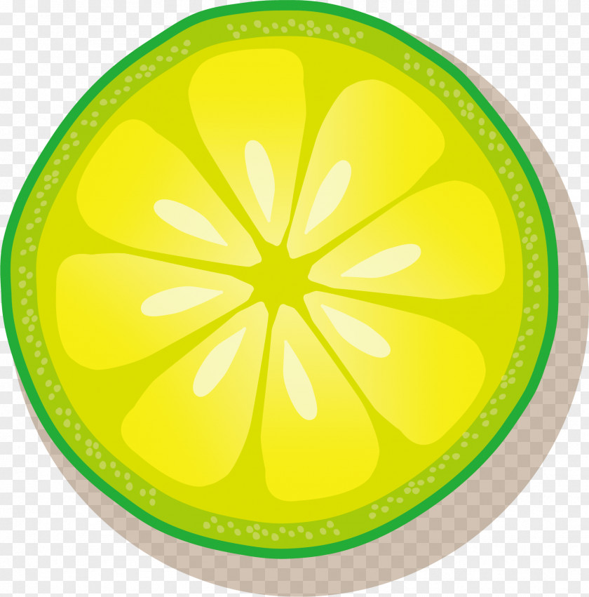 Vector Hand-painted Lemon Slices Lime PNG