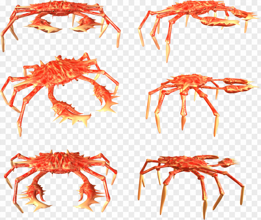 Crab Crayfish Clip Art PNG