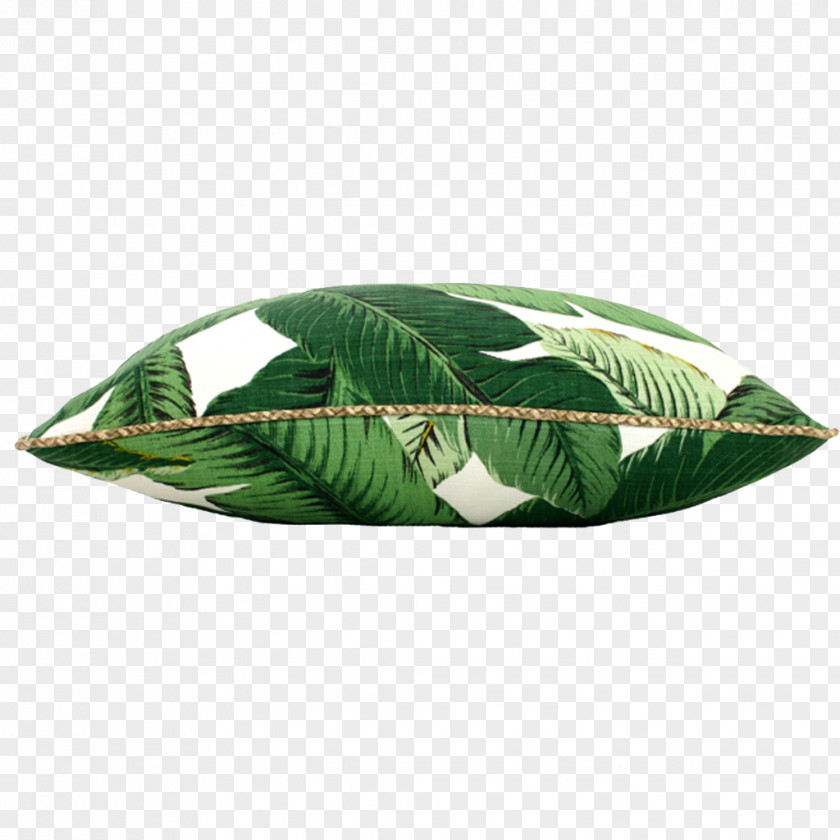 Green Pillow Leaf Platter PNG