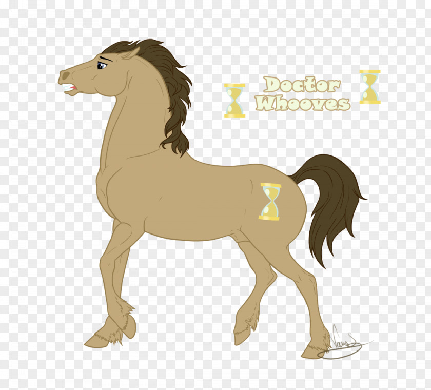 Mustang Foal Stallion Colt Pony PNG