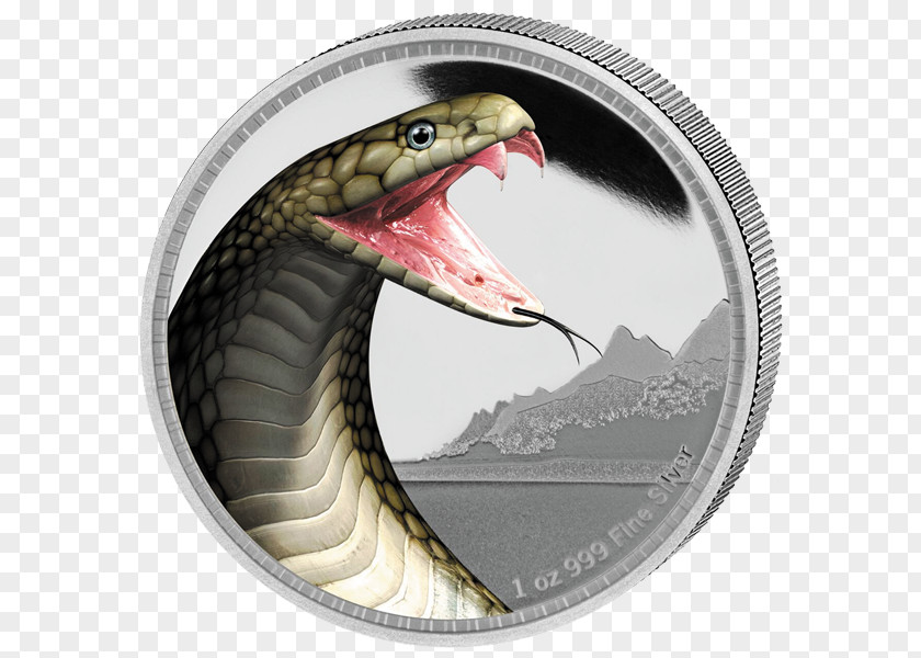 Snake King Cobra Silver Coin PNG